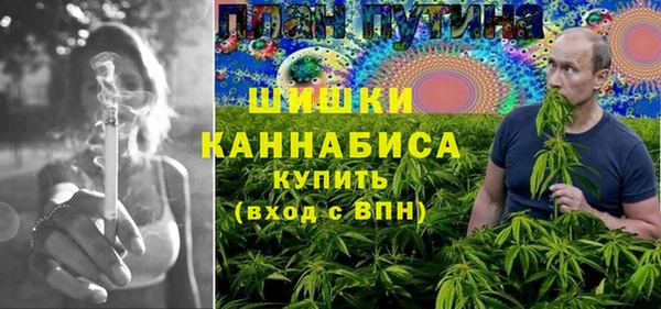 шишки Новодвинск