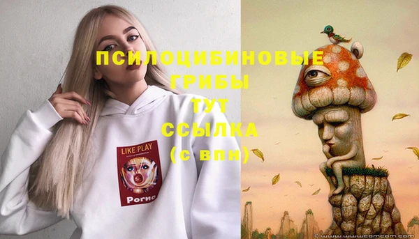 а пвп мука Алексеевка