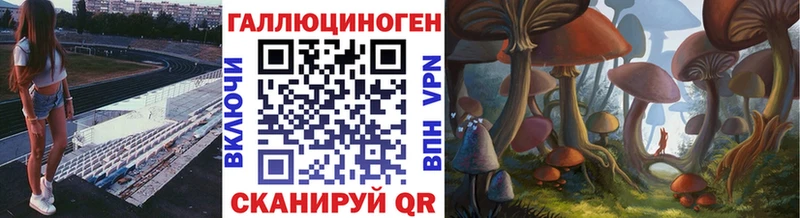 Галлюциногенные грибы Psilocybine cubensis  Нея 